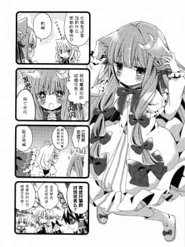 [基音汉化组] (例大祭11) [misokaze (モル)] 魔理沙とゲームと猫 (東方Project)_009