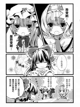 [基音汉化组] (例大祭11) [misokaze (モル)] 魔理沙とゲームと猫 (東方Project)_020