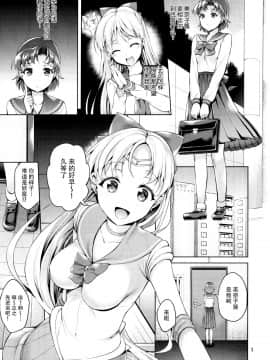 (C88) [アカベンギン(アサヒなヒカゲ)] VENUS&MERCURY PREAK(美少女戦士セーラームーン )[脸肿汉化组]_img003