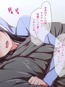 (同人CG集) [TJ_studio] H妹とド変態せっくすな日常_055