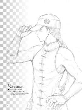 [魚拓 (しーらかんす)] CAT'S STRIKE (ストリートファイター) [DL版] [黃金體驗漢化]_027