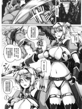 [風的工房][一弘] 愛嬢の淫辱エルフ 愛孃的淫辱女精靈_CC994