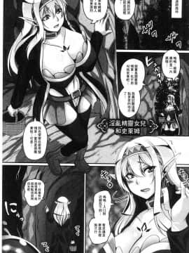 [風的工房][一弘] 愛嬢の淫辱エルフ 愛孃的淫辱女精靈_EE1007
