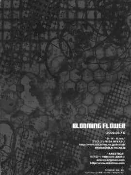 [萌の空漢化社] (C76) [ARESTICA, D・N・A.Lab. (有子瑶一, ミヤスリサ)] BLOOMING FLOWER (ハヤテのごとく!)_037