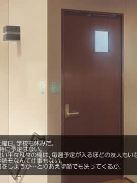 (同人CG集) [180R] 生意気妹をハメまくり調教して兄専用肉便器にする話__0009