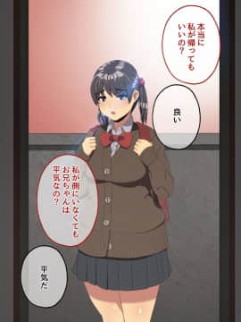 (同人CG集) [スルメニウム (谷口大介)] 妹とセックスざんまい!_100