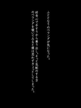 (同人CG集) [司瀬@あげぱん] あまあまらぶネトリ～お隣の奥さんを自宅に連れ込んで濃厚イチャラブH～_e026