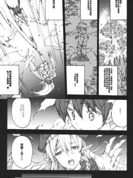 [leina0602 汉化](C80) [Erect Touch (エレクトさわる)] QUEEN'S SLAVE(クイーンズブレイド)_queen_07