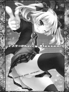 (C82) [没後 (RYO)] リリカ→Cherry Blossom!_02