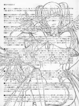 (C79) [絶対少女 (Raita)] 魔法少女総集編 2 (絶対純白・魔法少女)_117