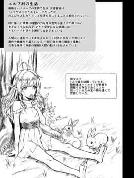 [H.B.A (うさぎなごむ)] 黄昏の娼エルフ3 (オリジナル) [DL版]_045