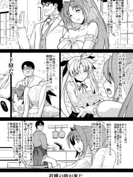 [スタジオ☆ひまわり (日向恭介)] 疲れた貴方を癒やしてくれるリリカル魔法少女総集編+α (魔法少女リリカルなのは)_0036