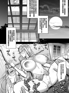(C94) [H.B.A (うさぎなごむ)] 黄昏の娼エルフ3 (オリジナル) [DL版][無邪気漢化組]_006