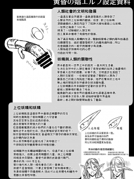 (C94) [H.B.A (うさぎなごむ)] 黄昏の娼エルフ3 (オリジナル) [DL版][無邪気漢化組]_044