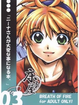 [床子屋 (鬼頭えん)] ニーナさんが大変なことになる本。03 (ブレス オブ ファイア)