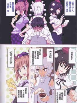 [かみか堂 (銀曜ハル)] 幻想郷楽園化計画 18 (東方Project) [中国翻訳]_IMG_20161229_0005