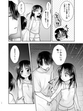 (C94) [アクアドロップ (三上ミカ)] おでかけせっくす総集編 (オリジナル) [DL版]_odekake_014