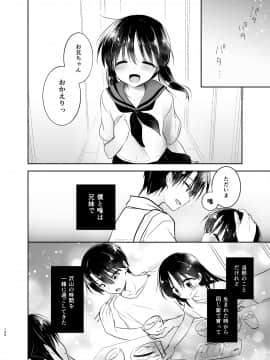 (C94) [アクアドロップ (三上ミカ)] おでかけせっくす総集編 (オリジナル) [DL版]_odekake_100