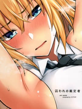 (C93) [イジマヤ (伊島ユウ)] 囚われの裁定者 (FateApocrypha) [空気系☆漢化]_030