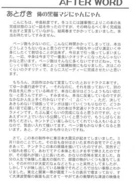 [空気系汉化] (同人誌)[STUDIO RUNAWAY WOLF (中島秋彦)] 俺の黒猫マジにゃ__024