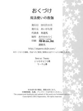 (C82)(同人誌)[あいがも堂 (あやかわりく)] 魔法使いの夜伽 (魔法使いの夜)[Nice漢化_030