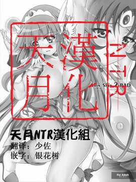 (C82)(同人誌)[サイクロン (和泉, 冷泉)] T-10 SHiN SHiN 2 BAD (ス_000001