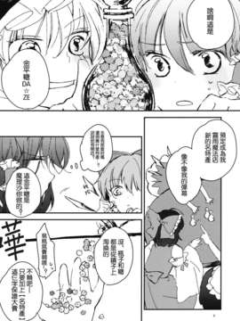 (C82)(同人誌)[よぬりめ] 瓶詰めスプランドゥール (東方)(非エロ)[喵玉汉化_563]_0006
