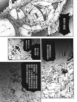 (C82)(同人誌)[Yokohama Junky (魔狩十織)] ソロハンターの生態 4 The first part (モンスターハンター)[VK1602喵汉化]_012