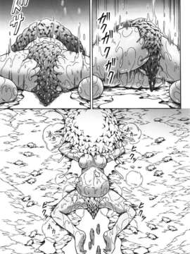 (C82)(同人誌)[Yokohama Junky (魔狩十織)] ソロハンターの生態 4 The first part (モンスターハンター)[VK1602喵汉化]_038