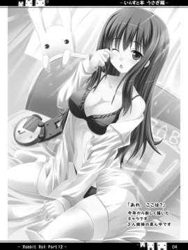 (C80) (同人CG集) [うさぎねずみ] イラスト本うさぎ編 (JPG)