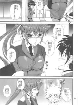 (C82) (同人誌) [PX-REAL (くもいたかし)] SIG乳 (魔法少女リリカルなのは)_028