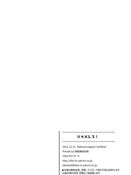 [Genesis漢化](C83) (同人誌) [TIES (タケイオーキ)] ハメ×シス (化物語)_HameSis_0034