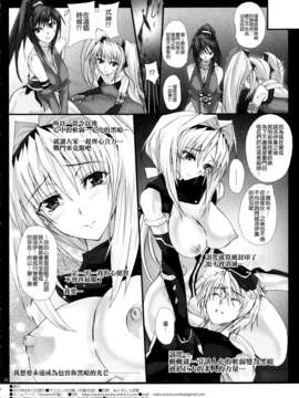 [清純突破漢化] (C82) [ヴェロニカの歯 (の歯)] 闇間に奔る雷光一筋の未来への導 (超昂閃忍ハルカ)_025