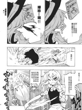 [个人汉化] (C80) [さくSaku亭 (氷川翔)] 本の森には帰れない (東方Project)__014
