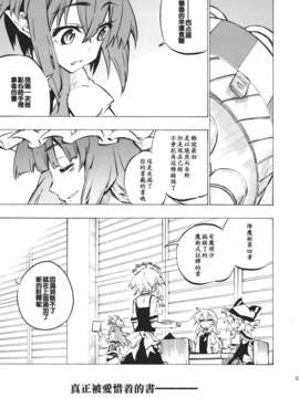 [个人汉化] (C80) [さくSaku亭 (氷川翔)] 本の森には帰れない (東方Project)__023