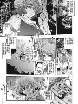 [漢化](C81) [急行兎] 雪華乃書 (東方Project)_17