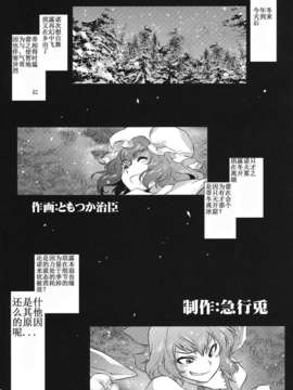 [漢化](C81) [急行兎] 雪華乃書 (東方Project)_35