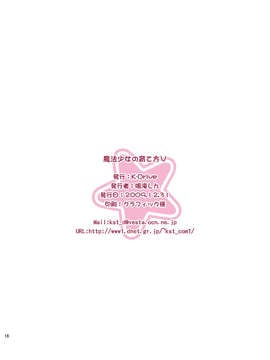 [漫の漢化組] (C77) [K-Drive (鳴滝しん)] 魔法少女の育て方V (魔法少女リリカルなのは) [DL版]_V_18