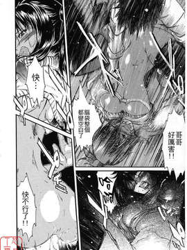 [ナイロン] ナイロン100%_ytk-s08-021-198