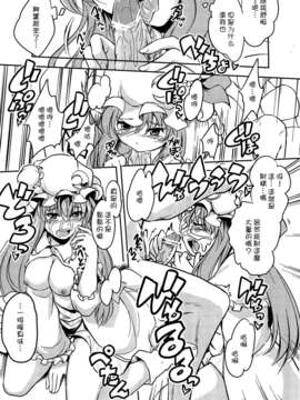 [魂+工坊](C82) [アビオン村F (ふぇっちー)] ぱちぇらぶ。 (東方Project)_12