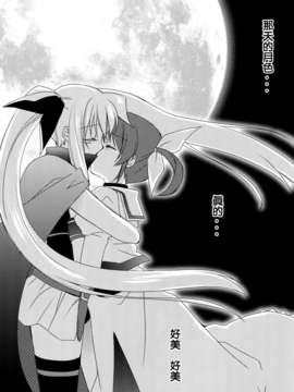 [CE家族社](COMIC1☆7)[福屋 (たまつー)]月がとても綺麗だったから(魔法少女リリカルなのは)_17