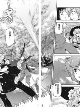 [个人汉化](C81) [急行兎] 雪華乃書 (東方Project)_11