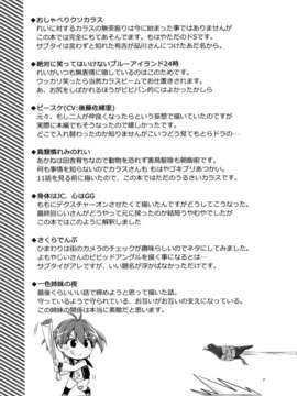 [Myutta漢化](COMIC1☆7) [北原工房 (北原朋萌)] ビビッドレッドホットチリペッパーズ (ビビッドレッド オペレーション)_24_0024