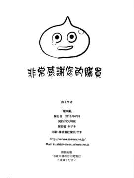 [final個人漢化](COMIC1☆7) [VOLVOX (キザキ)] 竜の巣 (ドラゴンクエスト)_17_ryunosu_18f