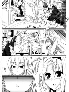[汉化](C76) [ねこのさけごと (さざなみみぉ)] 東方アリマリめでぃかる (東方Project)_06_07