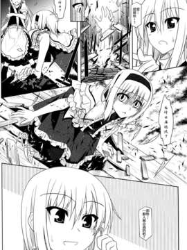 [汉化](C76) [ねこのさけごと (さざなみみぉ)] 東方アリマリめでぃかる (東方Project)_17_18