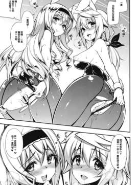 [脸肿汉化组] (SC61) [CHIBIKKO KINGDOM] ONE night SUMMER (インフィニット?ストラトス)_12_one_13