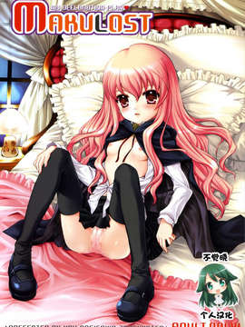 [不觉晓个人汉化] (C71) [しましましすてむ (なぎさわゆう)] MAKULOST my defloration plan (ゼロの使い魔)_01