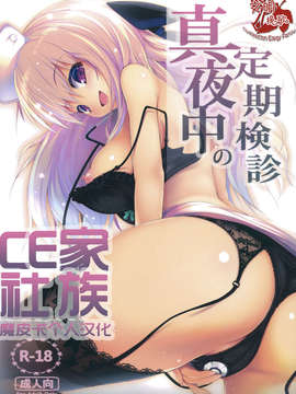 C84真夜中の定期検诊