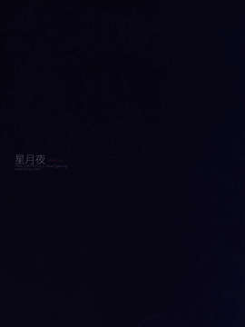 [临时组织](C84) [CassiS (りおこ)] 星月夜 (ファイナルファンタジー XIII-2)_Scan-131206-0002